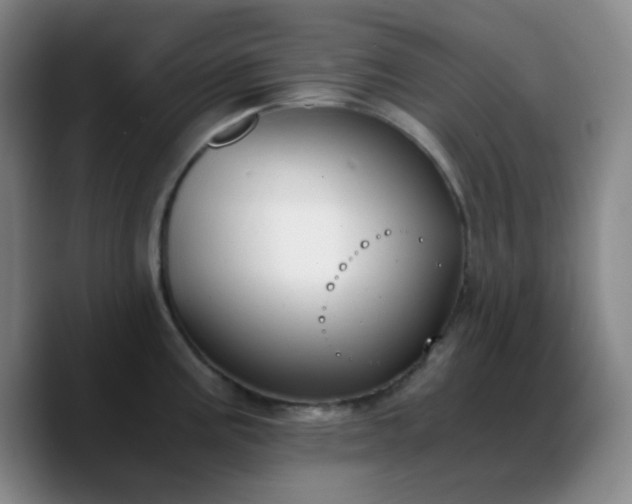 X0000090741195200707201423