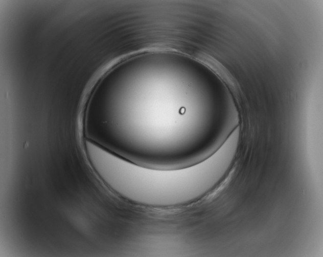 X0000090741196200707201423