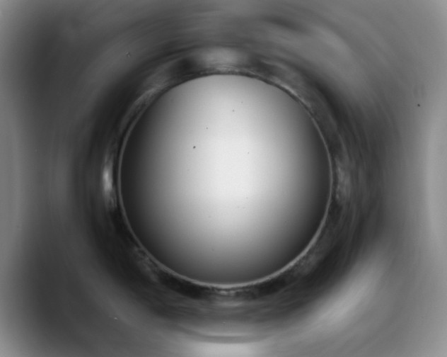 X0000090741198200707201423