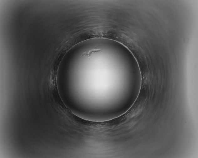 X0000090741202200707201422