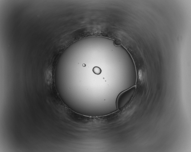 X0000090741203200707201422