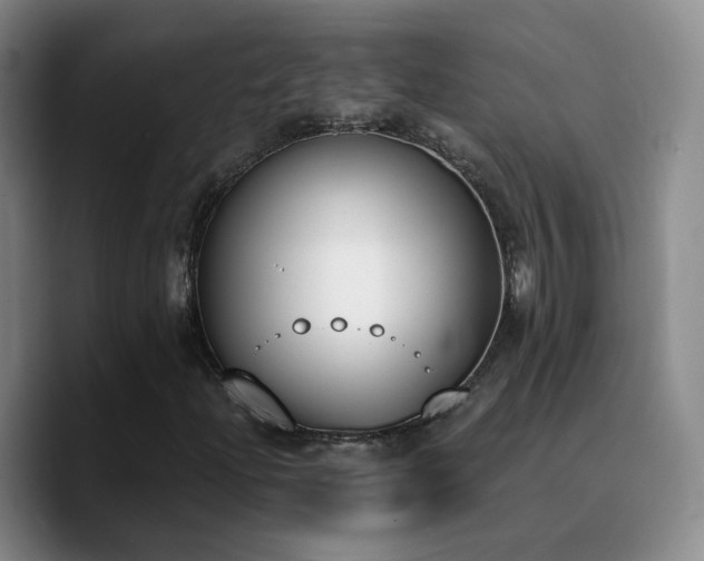 X0000090741204200707201422