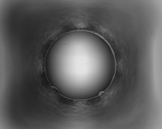 X0000090741205200707201422