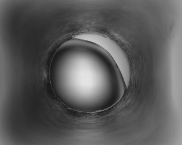X0000090741206200707201422