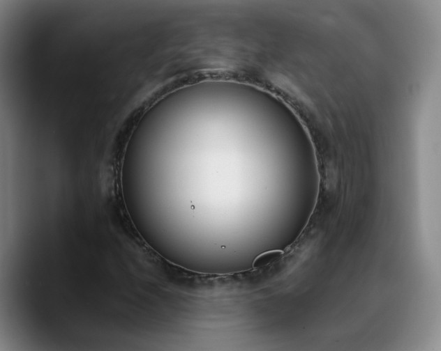 X0000090741208200707201422