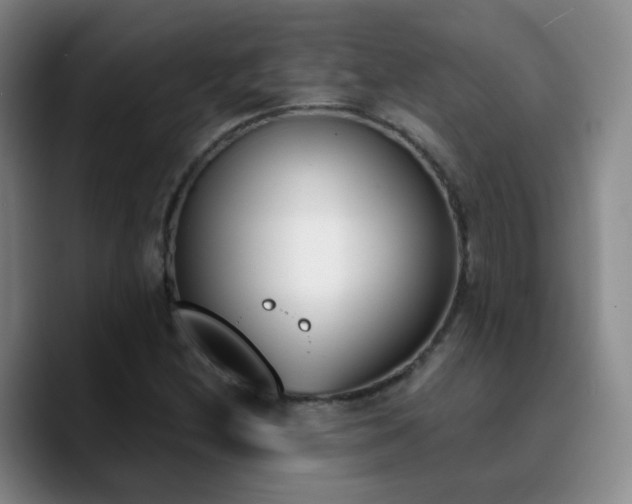 X0000090741212200707201422
