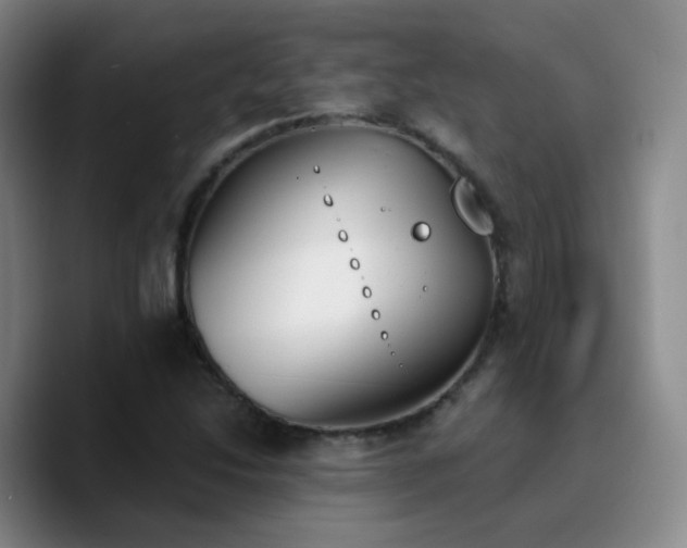 X0000090741214200707201422