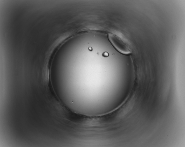 X0000090741221200707201422