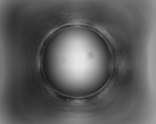 X0000090741224200707201422