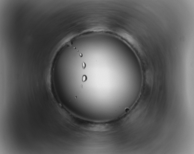 X0000090741229200707201422