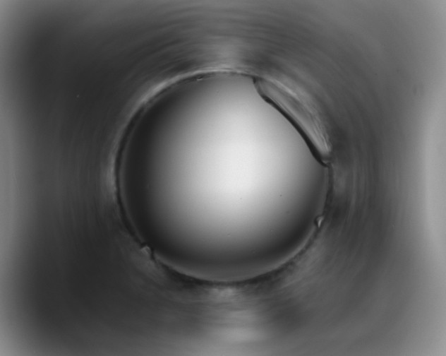 X0000090741230200707201422