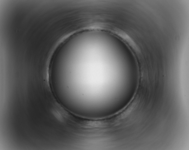 X0000090741232200707201422