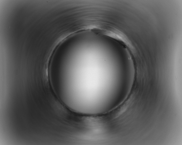 X0000090741234200707201422