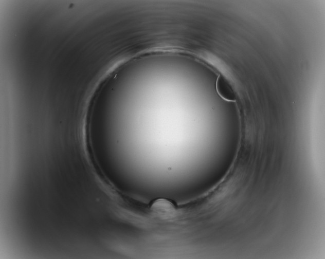 X0000090741237200707201422