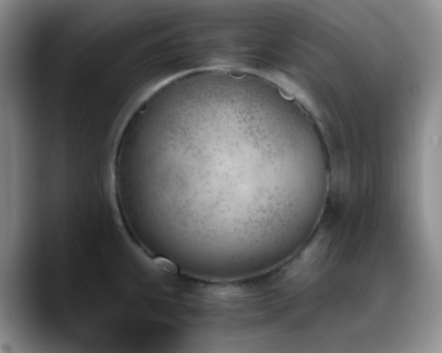 X0000090741239200707201422
