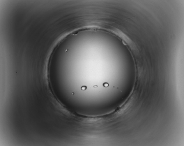 X0000090741240200707201422