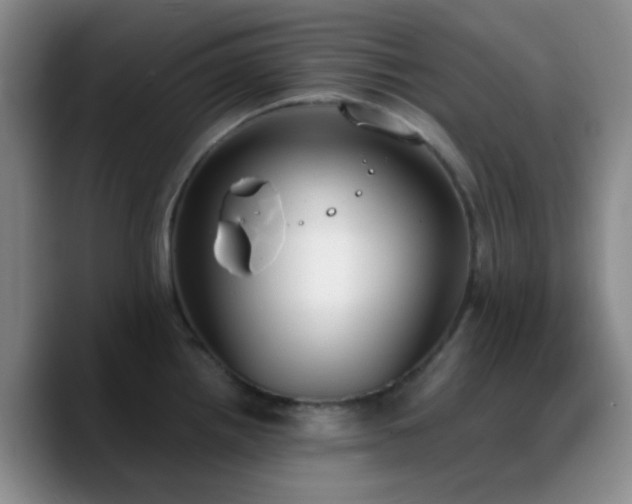 X0000090741242200707201422