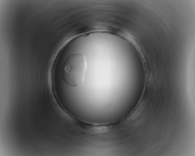 X0000090741243200707201422
