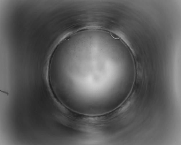 X0000090741245200707201422