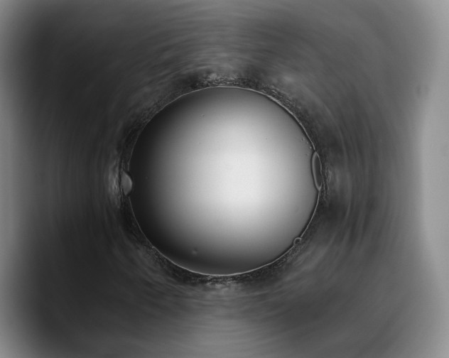 X0000090741250200707201422