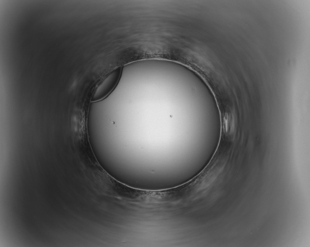 X0000090741251200707201422