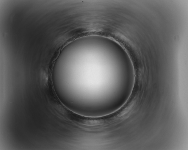 X0000090741257200707201422