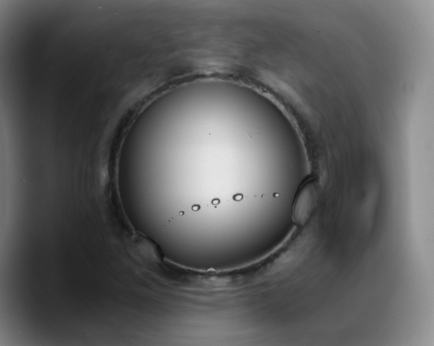 X0000090741261200707201422