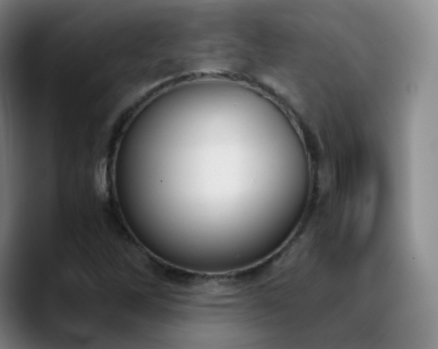 X0000090741262200707201422
