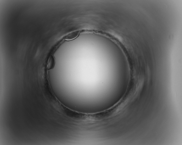 X0000090741263200707201422