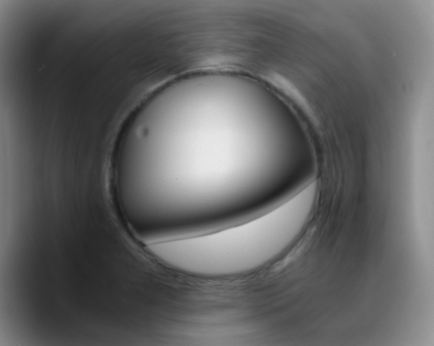 X0000090741277200707201421