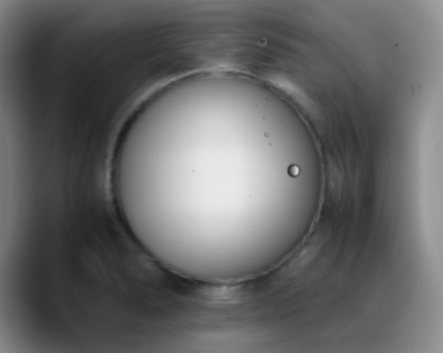 X0000090741278200707201421