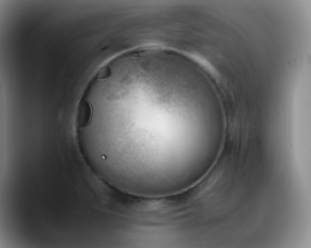 X0000090741279200707201421