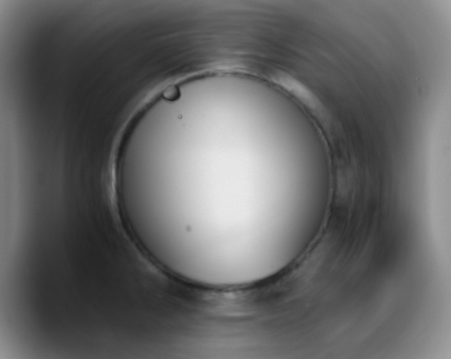 X0000090741286200707201421