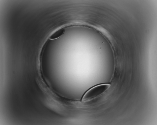 X0000090741287200707201421
