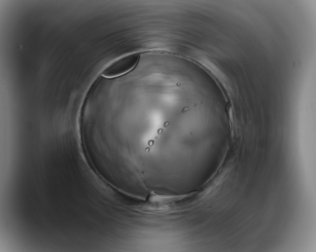 X0000090741291200707201421