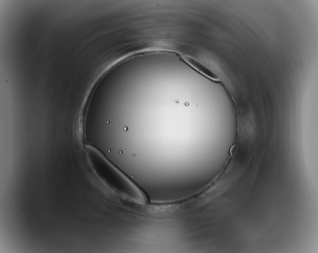X0000090741292200707201421