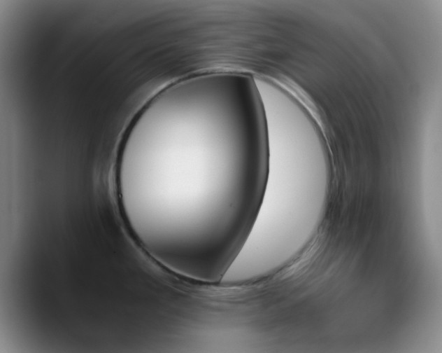 X0000090741293200707201421