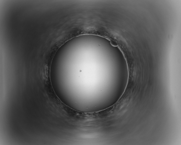 X0000090741301200707201421