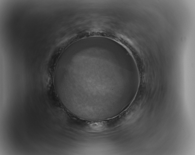 X0000090741303200707201421