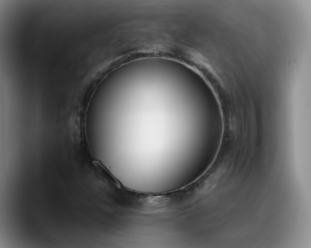 X0000090741304200707201421