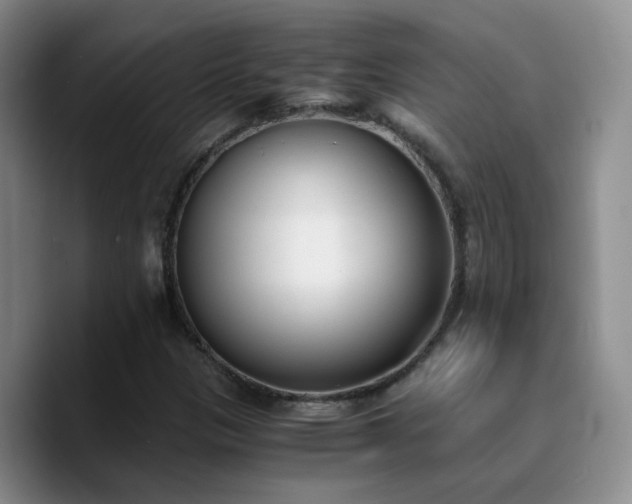 X0000090741305200707201421