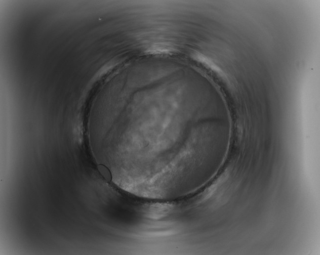 X0000090741306200707201421