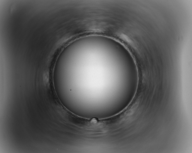 X0000090741307200707201421