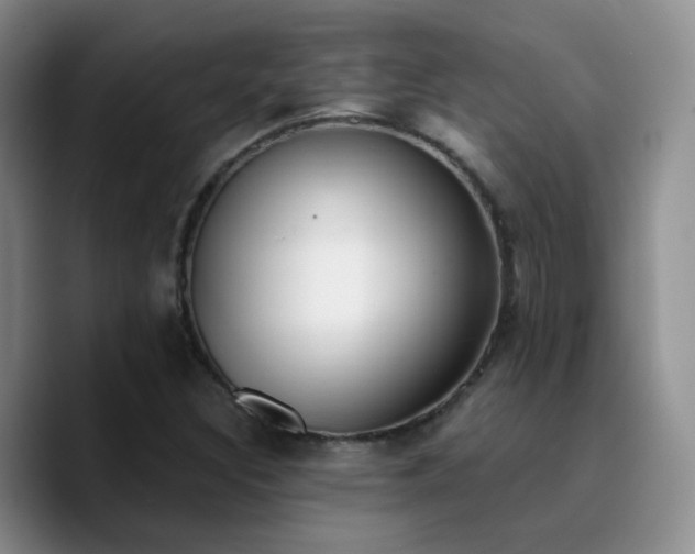 X0000090741308200707201421