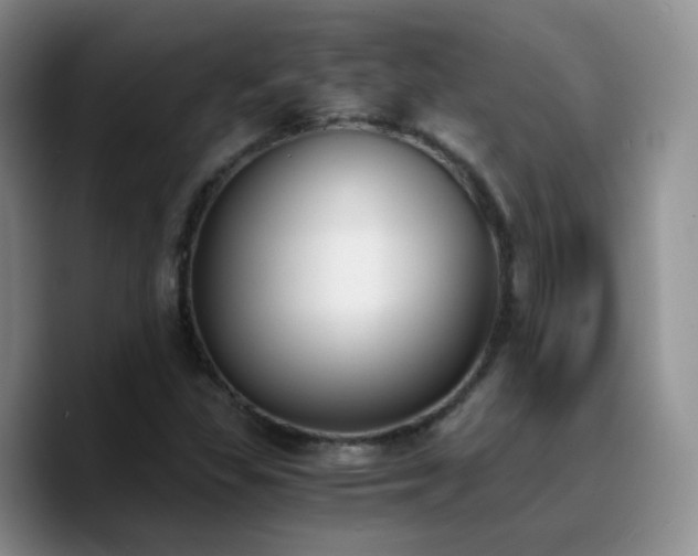 X0000090741309200707201421