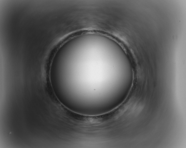 X0000090741311200707201421