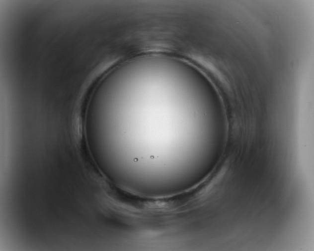 X0000090741317200707201421