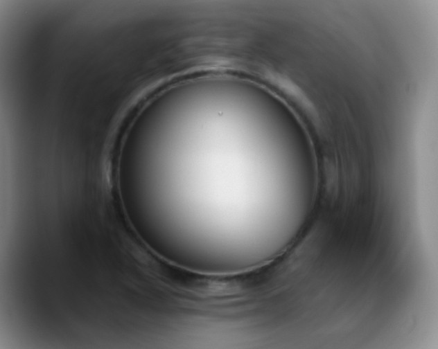 X0000090741318200707201421