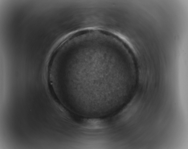 X0000090741319200707201421