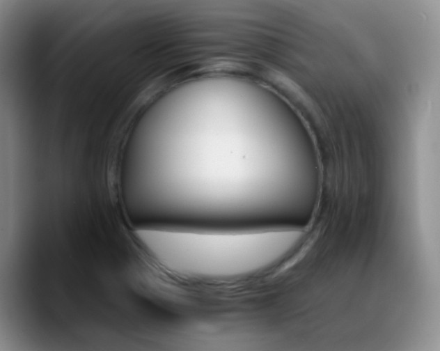 X0000090741321200707201421